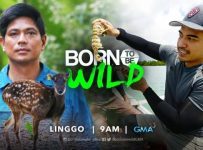 Born To Be Wild June 23 2024 Full Replay Episode